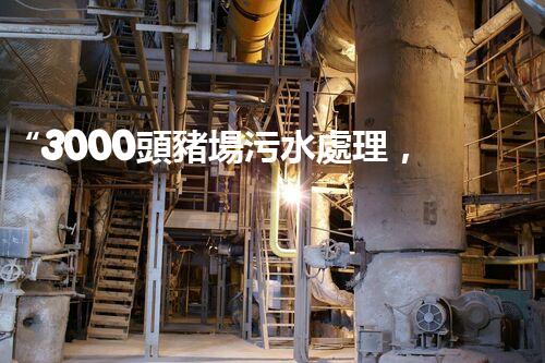 “3000頭豬場污水處理，綠色環(huán)保新篇章！”